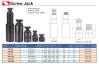 Screw Jack VSJ- 70-2
